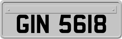GIN5618