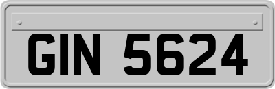 GIN5624