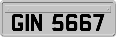 GIN5667