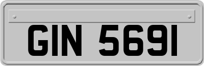 GIN5691