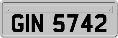 GIN5742
