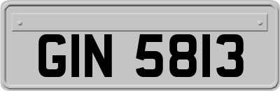 GIN5813