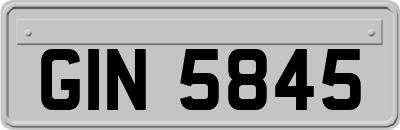 GIN5845