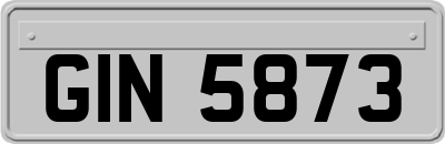 GIN5873