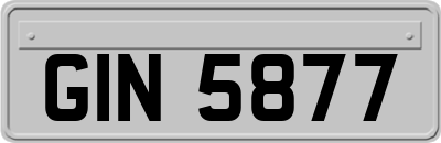 GIN5877