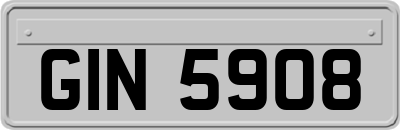 GIN5908