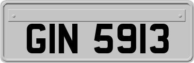 GIN5913