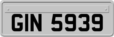 GIN5939