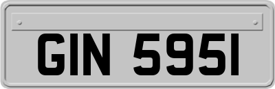 GIN5951