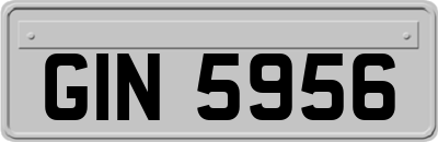 GIN5956
