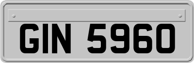 GIN5960
