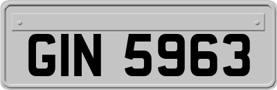 GIN5963