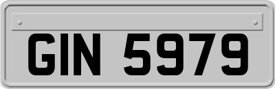 GIN5979