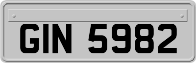 GIN5982