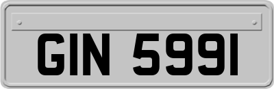 GIN5991