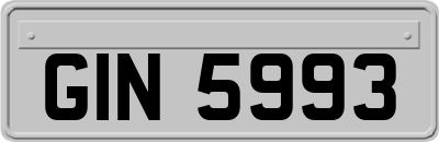 GIN5993