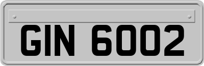 GIN6002