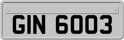 GIN6003