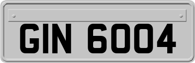 GIN6004