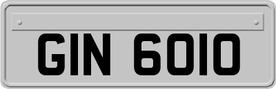 GIN6010