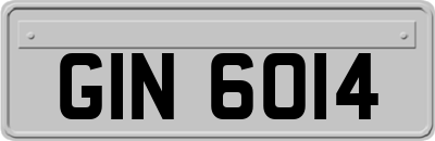 GIN6014