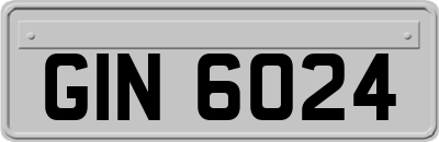 GIN6024