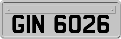 GIN6026