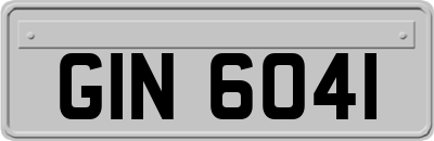 GIN6041
