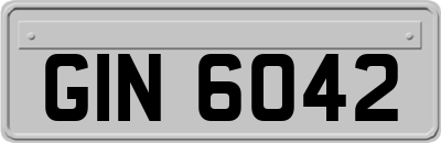 GIN6042