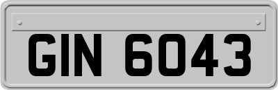 GIN6043