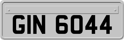 GIN6044