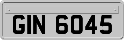 GIN6045