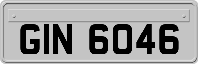 GIN6046