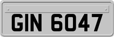 GIN6047