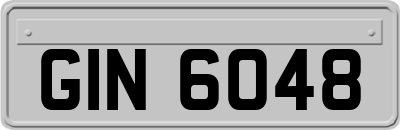 GIN6048