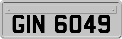 GIN6049