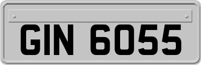 GIN6055