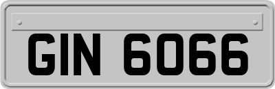 GIN6066