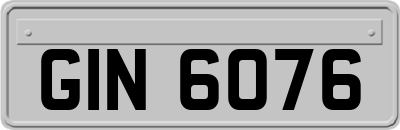 GIN6076