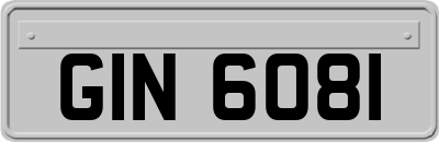 GIN6081