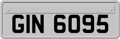 GIN6095
