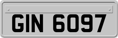 GIN6097