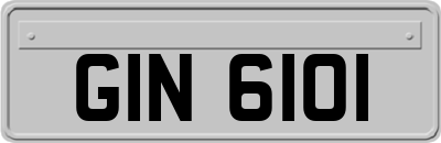 GIN6101