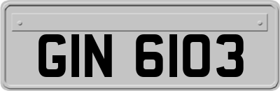 GIN6103