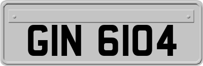 GIN6104