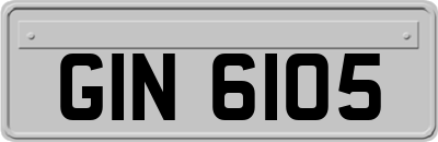 GIN6105