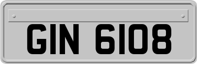 GIN6108