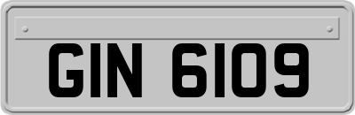 GIN6109