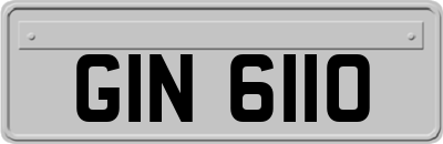 GIN6110