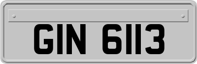 GIN6113